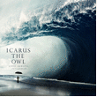 Icarus The Owl