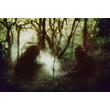 Wolves In The Throne Room Release New Track