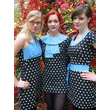 The Pipettes Irish and UK tour dates