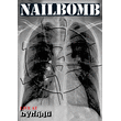 Nailbomb to release 'Live at Dynamo' DVD