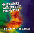 Ocean Colour Scene Shows